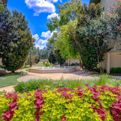 Find your perfect fit at Arthouse Apartments a garden with trees and flowers